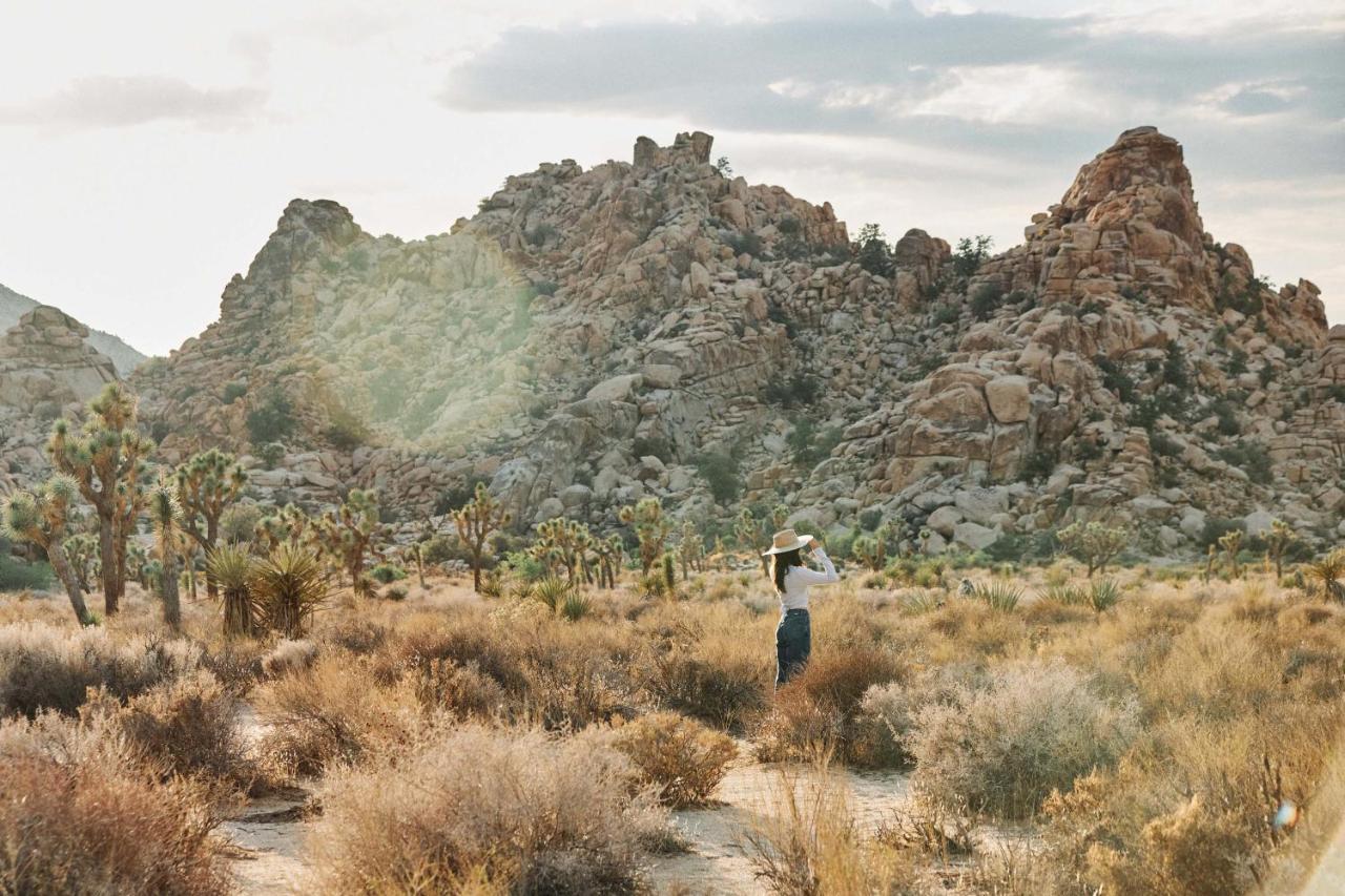 Hotel Field Station Joshua Tree Yucca Valley Exteriér fotografie