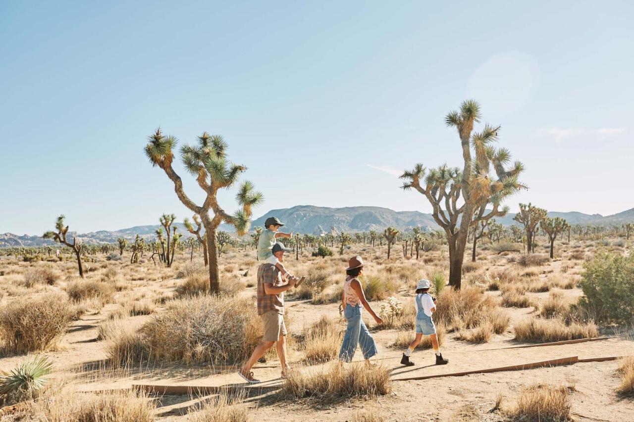 Hotel Field Station Joshua Tree Yucca Valley Exteriér fotografie